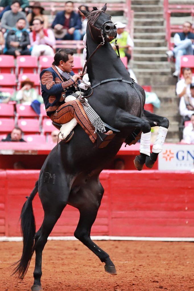 PHOTO-2024-09-19-09-59-18-682x1024-1 Cuauhtémoc Ayala haciendo historia en la México